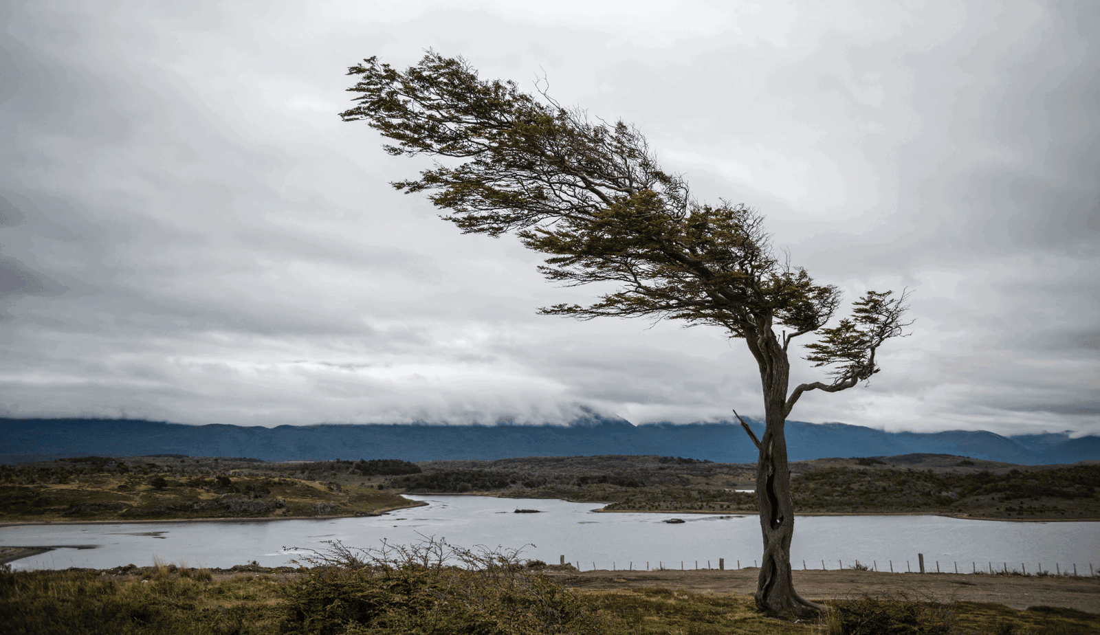 Cyber resilience – verder dan Cybersecurity